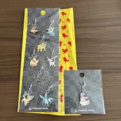 ポケモンセンター 全国ずかんメタルチャーム ブイズセット ９個セット