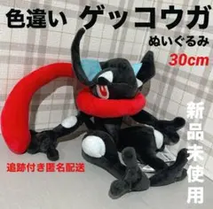 2026年最新】ポケモン ゲッコウガ ぬいぐるみの人気アイテム - メルカリ