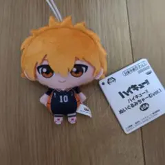 ハイキュー ぬいぐるみちゃーむ 日向翔陽
