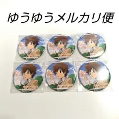 家庭教師ヒットマンREBORN! 激推し缶バッジ4 沢田綱吉6個