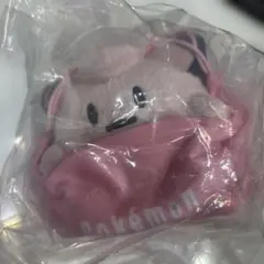 2025 Pokemon Collection くじ E賞 巾着入りマスコット