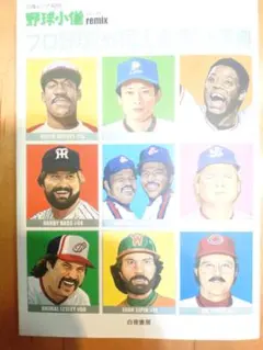 野球関連 ムック/野球小僧remix プロ野球[外国人選手]大事典（白夜ムック）
