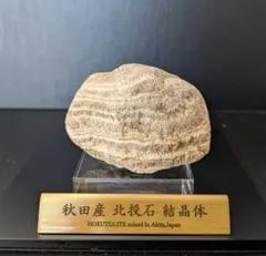 Item thumbnail for item bc18ccb4-848e-4f52-bb01-b26a2369bf6a