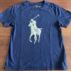 POLO Tシャツ カラーチェンジビックポニー140cmのサムネイル