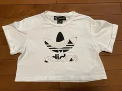 adidas マリメッココラボ　クロップドTシャツ ホワイト