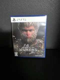 PS5 블랙 미쓰 오공 소프트웨어