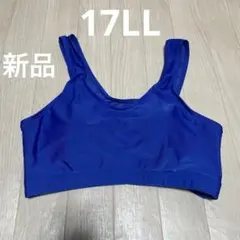 Item thumbnail for item b1c5c32a-980d-48d7-99a7-118ec198605c