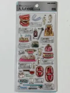 ✨新作✨国内正規品✨大人の図鑑シール 3D 歯編