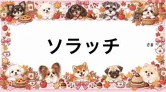 専用