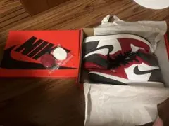 NIKE Air Jordan 1 サイズ29cm サテンスネーク