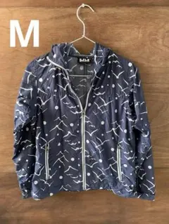 Item thumbnail for item 06679cd2-2ebe-4396-a6c8-702b9d3f9c56