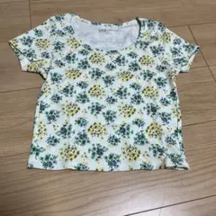 UNIQLO  PAUL&JOE   Tシャツ　Sサイズ（新品未使用）