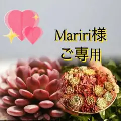 Mariri様　ご専用出品