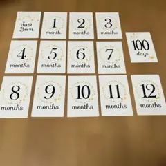 Item thumbnail for item ccc98436-2c7d-4396-b781-8bd7675c6a30