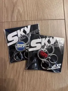 ワイルドスピードSKY MISSION キーホルダー 2個セット