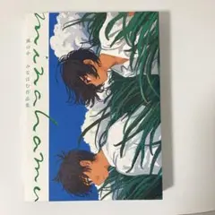 風の中　みなはむ作品集 画集