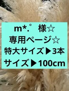 m*.゜様専用ページ☆