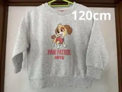 PAW PATROL トップス