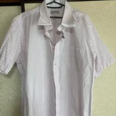 シャツ ピンク 3L