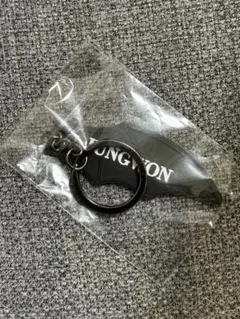 ENHYPEN House of Vampire ジョンウォン キーリング