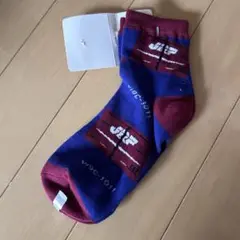 TETSUDO SMILE SOCKS V19Cコンテナ柄 靴下 22-24cm