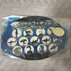 2026年最新】美ら海水族館 フィギュアの人気アイテム - メルカリ
