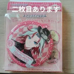 フラガリアメモリーズ　ハルリット　ぱしゃこれ　缶バッジ