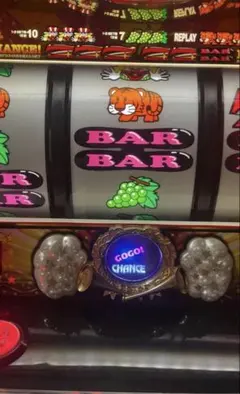激レア！ライギョゲームの楽しみ方！！ - メルカリ