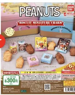【未開封】PEANUTS ビスケットミニチュアチャーム
