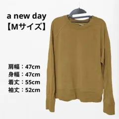 a new day クルーネック　長袖　プルオーバー イエロー 【Mサイズ】