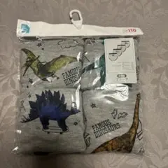 ブリーフ 4枚セット サイズ110 恐竜柄 新品