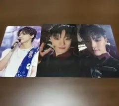 SEVENTEEN トレカ ディノ 3枚