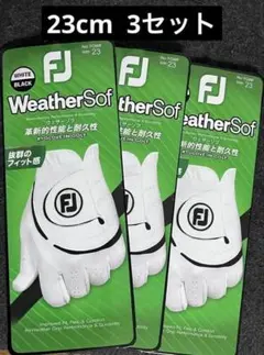 Item thumbnail for item a021a3f7-1e07-4b18-a191-c54efdf1aaea