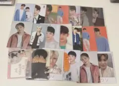 seventeen ウジトレカセット