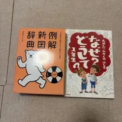 なぜ？どうして？ 1年生 & 新国語辞典 例解　小学生　セット