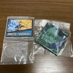 ヒロアカ　轟焦凍