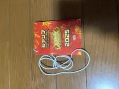 ジャンプビクトリーパスポート 2025 ジャンプフェスタ ビクトリーカーニバル