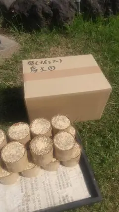 Item thumbnail for item 7fcd9eb9-bd2b-4e44-aabd-0f0ac24a060c