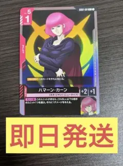 ガンダムエース付録　ハマーンカーン1枚