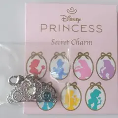 プリンセス　チャーム　シンデレラ