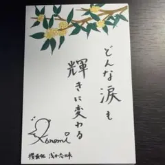 櫻坂46 浅井恋乃未　四期生ライブ　ポストカード