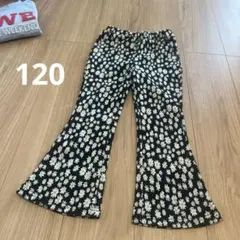 花柄フレアパンツ 黒地 白 黄色　しまむら　リトルウィークエンド　120