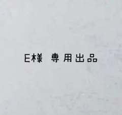 E様　専用出品