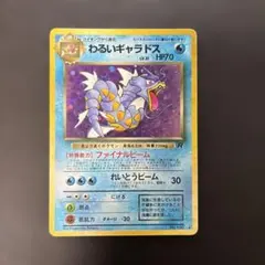 2026年最新】わるいギャラドスの人気アイテム - メルカリ