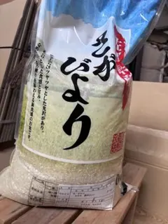 佐賀県産　令和7年　農家直送　さがびより　10キロのサムネイル