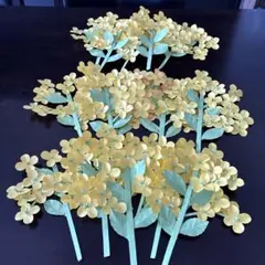 菜の花　　 Mr,C h i l d r e n様専用