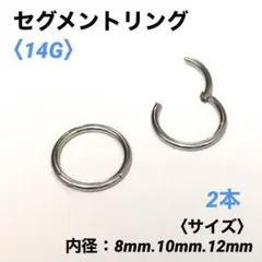 2本　セグメントリング　14G内径10mm フープピアス　ボディピアス