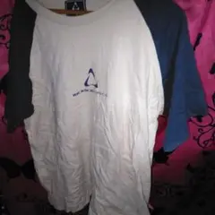 ヒクソン・グレーシー Tシャツ Mサイズ