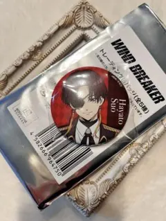 WIND BREAKER トレーディング缶バッジ