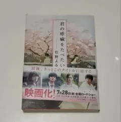 君の膵臓をたべたい 小説 文庫 住野よる 浜辺美波 北村匠海